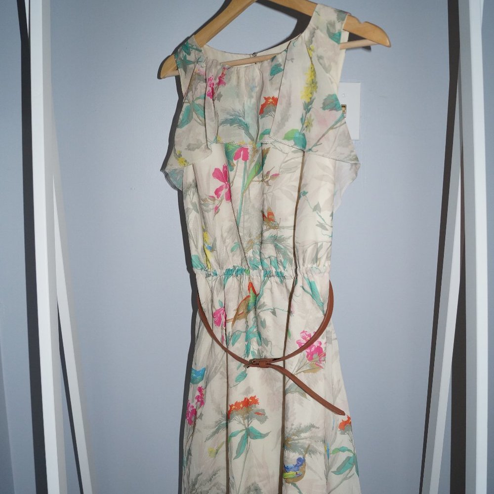 Ted Baker Timoxa Bird/Flower Print Ruffle Dress 2